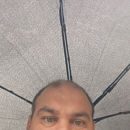 , 41, -