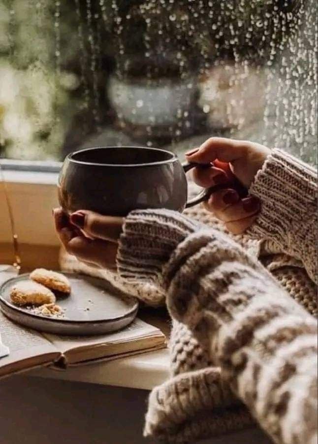  ,  .  ,   .  ,     -   ...