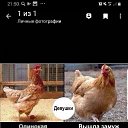���� ����, ������, 46 ��� - ��������� 18 ��� 2026