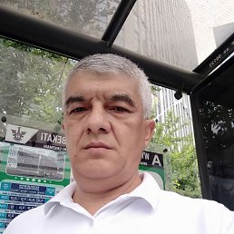 , 52, 