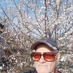 ���� ��������, �����, 58 ��� - ��������� 20 ������ 2025