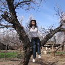 ���� ����, ������, 49 ��� - ��������� 12 ������� 2026 � ������ ���� ����������