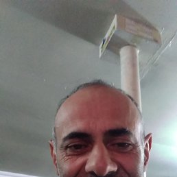 ���� �.�, ����, 48 ��� - ��������� 2 ������ 2024