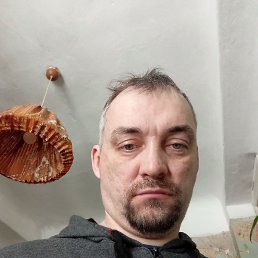 ���� �������, ������, 44 ���� - ��������� 18 ������� 2026