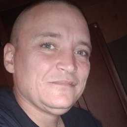 �����, ������, 41 ���