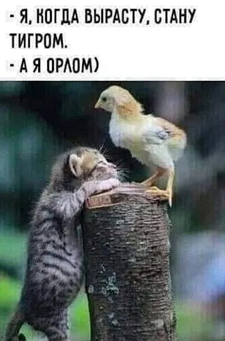 ☆ ☆ - 28  2025  12:28