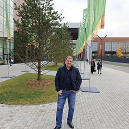 ������, 53 ����, ������