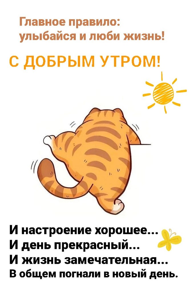 11    ! , ,      -   ...