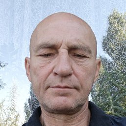 , , 50 