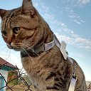 ���� 151 �������, ����� - ��������� 18 ������ 2025 � ������ ������ ��������