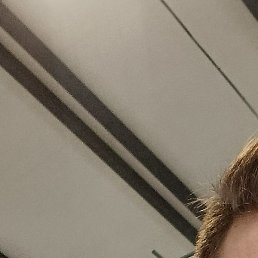 �����, ������, 25 ���