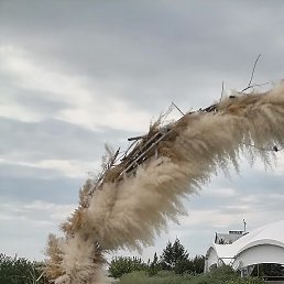 �����, �����, 36 ���