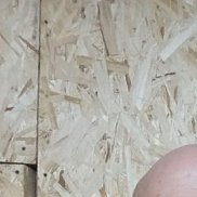 ��������, 40 ���, ����