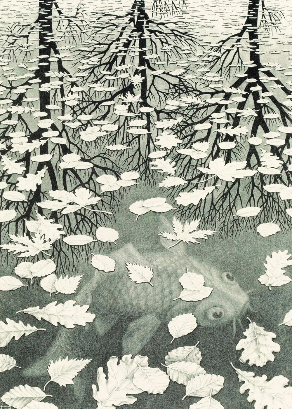       (Maurits Cornelis Escher)   ...