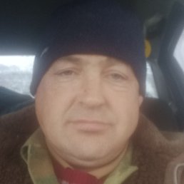 �������, �����-���������, 49 ���