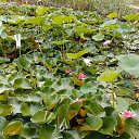 ���� ����, ������, 60 ��� - ��������� 27 ������� 2023 � ������ ���� ����������