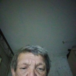 , 61, 