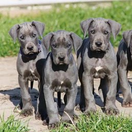 ���� ������, ������, 48 ��� - ��������� 16 ����� 2026