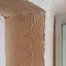 ���������, ����, 51 ���