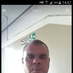 �����, ������, 48 ���