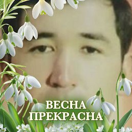 ���� Yorqin, �������, 37 ��� - ��������� 27 ������ 2026