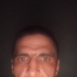  , 43 , -
