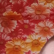 , 41 , 