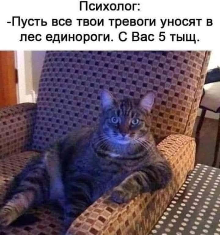   - 17  2025  17:28