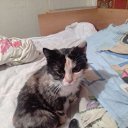 ���� ������� �������, ������, 61 ��� - ��������� 12 ������ 2024 � ������ ���� ����������