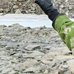 ������, ������������, 52 ����