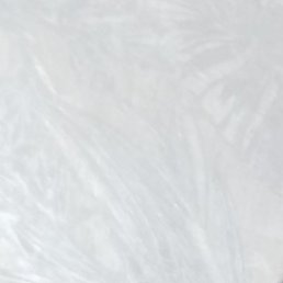 �����, ������, 59 ���