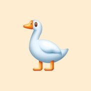 Alina, 41 , 