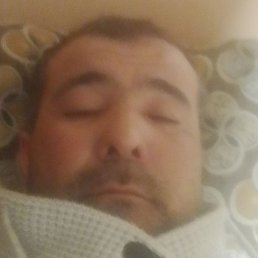 �����, ������, 43 ����