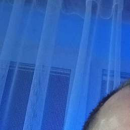 ������, �������, 55 ���