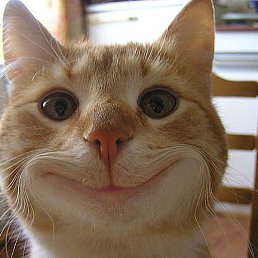 Irina, �����, 40 ���