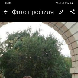 , 54, 