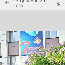 ���������, �����, 65 ���