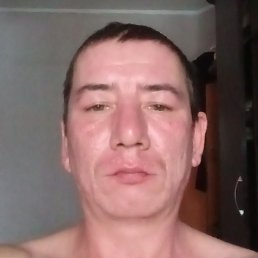 ���������, ����������, 39 ���