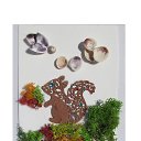 ���� Svetlozar, �����, 45 ��� - ��������� 1 ������� 2025 � ������ ����� �� ����