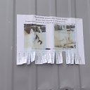 ���� �����, ������, 37 ��� - ��������� 3 ������ 2023