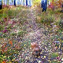 ���� Mila, ���� - ��������� 13 ������ 2025 � ������ ������ ��������
