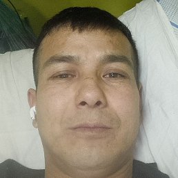 �����, ������, 40 ���