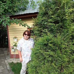 N, ���������