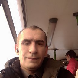 , 41, 