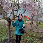 Аля, 66 лет, Краснодар Аля, 66 лет, Краснодар