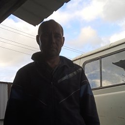 ����, 43 ����, ������������