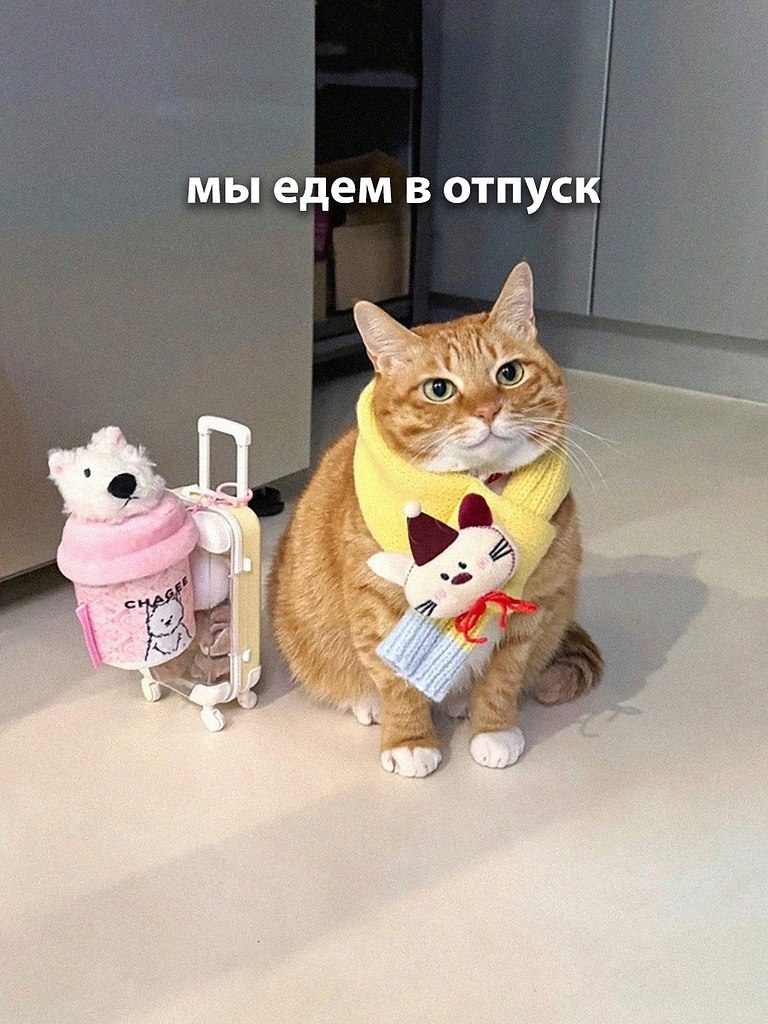 ��� �� ���-�� ������� � ������... - 2