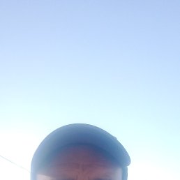 , 44,  