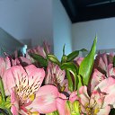 ���� M.i.l.a, ���������, 47 ��� - ��������� 9 ��� 2024 � ������ �������