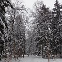 ���� ������, ������ - ��������� 16 ������ 2026 � ������ ���� ����������